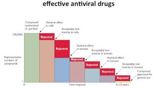 Virology 2013 Lecture 21  Antivirals [upl. by Elrak314]