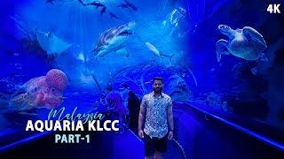 Exploring Aquaria KLCC Part  1  Things to Do in Kuala Lumpur  EP 10 [upl. by Akeylah]