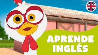 ¡A Cantar y Aprender Inglés con La Gallina Turuleca 4  El Reino Dice [upl. by Iolenta]