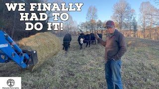 How We Unroll Hay To Feed Cattle [upl. by Edlin]