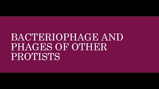 Virus Bacteriophage and phages of other protists [upl. by Ettenan]