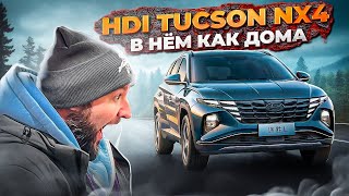 Hyundai Tucson NX4 моторы коробки Всё о Туссан 2023 [upl. by Ennaxor]