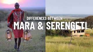 Where to Go on an African Safari  Masai Mara vs Serengeti [upl. by Atiuqaj]