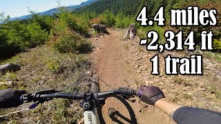 Fear and Loaming might be the best trail in OR [upl. by Ayoted]