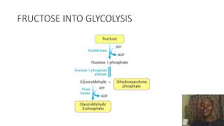 Biochemistry SimplifiedFructoseANDGalactoseintoGlycolysis [upl. by Flavia]