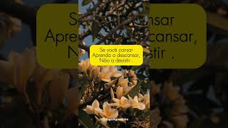 Acredite no tempo de Deus shortvideo jesus jesusteama [upl. by Remsen]