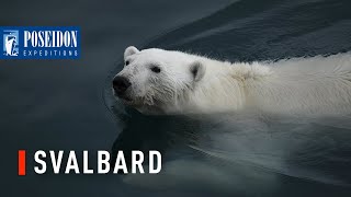 Discover the beauty of Svalbard on an expedition cruise [upl. by Bocock]