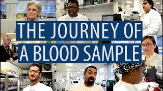 The journey of a blood sample DiscoverPathology [upl. by Aitram]