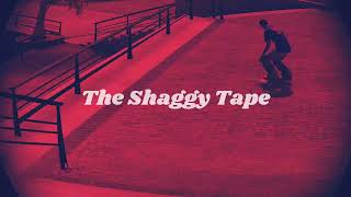 The Shaggy Tape  BBL Drizzy  Skate 3 [upl. by Lundin]