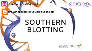 SOUTHERN BLOTTING  Detailed Explanation In Malayalam  DNA separation technique  Botany  Zoology [upl. by Akinihs]