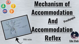 Accommodation Of Eye  Accommodation Reflex  Presbyopia  Special Senses Physiology [upl. by Htebasil]