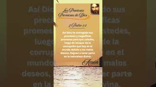 Las Preciosas Promesas De Dios…shorts dios biblia versículodeldía guidedministry [upl. by Aynwad]