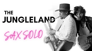 Learn The JUNGLELAND Sax Solo Bruce Springsteen by Clarence Clemons [upl. by Analak36]