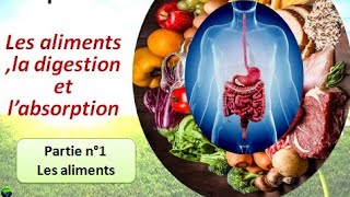 Les aliments la digestion et labsorption 3AC [upl. by Huff]