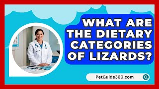 What Are the Dietary Categories of Lizards  PetGuide360com [upl. by Berte]