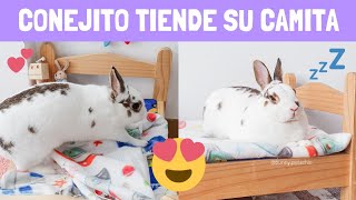 CONEJITO TIENDE SU CAMA 🐰🛌  Pistachio el conejito [upl. by Nellie767]