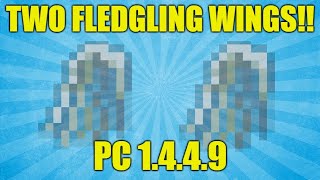 Terraria PC 1449 How To Find TWO Fledgling Wings [upl. by Bolanger]