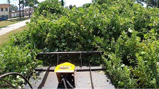 KUDZU KILLZONE MEGA MOWER X TAKES ON SOME EXTREME KUDZU OVERGROWTH [upl. by Blithe]