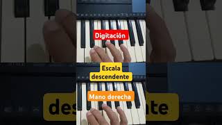 MANO DERECHA ESCALA DESCENDENTE piano clasesdepiano tutorialyoutube pianotutorial shorts [upl. by Afaw]