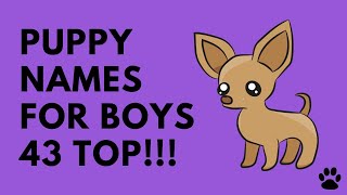 Puppy Names For Boys  43 CUTE IDEAS  Names [upl. by Naik]