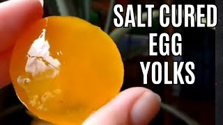 How To Make Salt Cured Egg Yolks  Preserving Farm Fresh Eggs  Cured Egg Yolks [upl. by Enoved]