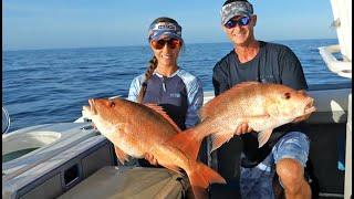 Grouper amp Snapper Season in Florida [upl. by Lazor]