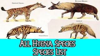 All Hyena Species  Species List [upl. by Cowles]