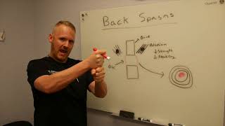 Back Spasms Watch This [upl. by Heaps]