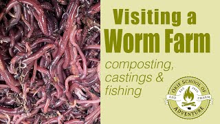 Visiting a Worm Farm  Composting Fishing and Castings [upl. by Peoples]