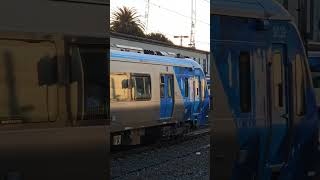 Trains passing at Caulfield Station publictransport melbourne trainstation railway railfans [upl. by Eessac]