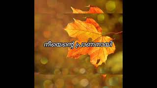 വണ്ണാത്തീ പുള്ളിനു ദൂരെ Vannathi Pullinu Doore Song Lyrics AlbumMizhineer Cover MusicLifeAVS [upl. by Koeppel151]