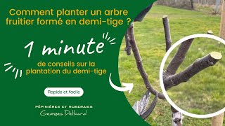 Comment planter un arbre fruitier formé en demitige [upl. by Giliane]