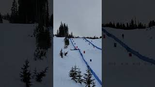 Moguls Freestyle Skiing Competition [upl. by Gusta]