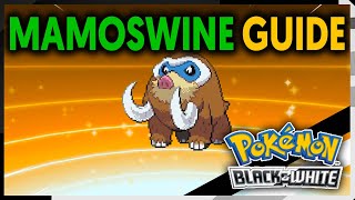 HOW TO EVOLVE PILOSWINE INTO MAMOSWINE ON POKEMON BLACK AND WHITE [upl. by Eldreeda487]