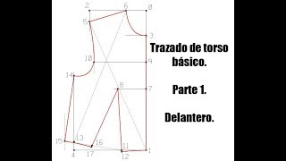 Torso basico delantero [upl. by Meggie]