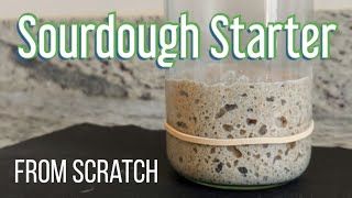 How to Make a Sourdough Starter with Rye Flour [upl. by Drofdeb]