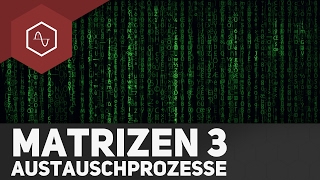 Austauschprozesse amp Übergangsmatrix – Matrizen 3 [upl. by Nevs]