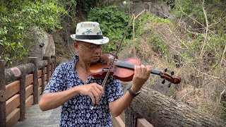 Passacaglia  Secret Garden violin cover Bảo Lư [upl. by Spielman]