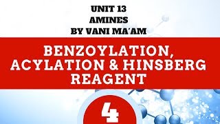 Benzoylation Acylation amp Hinsberg Reagent Part 4 class 12 unit 13AminesCbse Chemistry [upl. by Akcirahs]