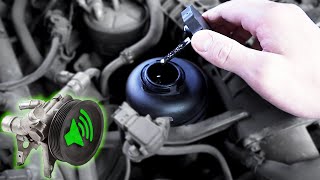 Identify Power Steering Noise  Humming Whining when Turning Steering Wheel [upl. by Ahsiekin962]