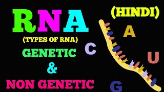 TYPES OF RNA EASY WAY  HINDI [upl. by Suk]