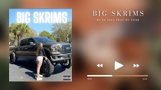 Big Skrims Official Audio [upl. by Aicilaf430]