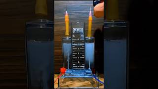 Proton Exchange Membrane ☑️ water science experiments electrolysis chemistry shorts viral 4k [upl. by Spieler]