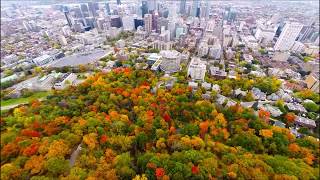 Aerial view Mount Royal Park MontRoyal  Montreal Quebec  Canada by drone at Fall [upl. by Roid]