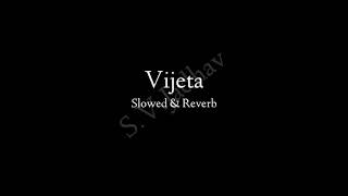 Vijeta Slowed  Reverb Feel The Song [upl. by Guadalupe]