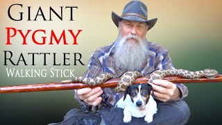 Carving a Massasauga Rattlesnake Walking Stick [upl. by Fransen]