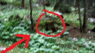 YETI Video w UNEXPECTED Find  Rare Footage  Creature Caught on Tape [upl. by Htilil]