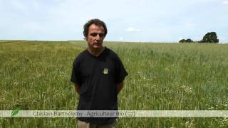 Le drainage agricole  Mr Barthélemy Agriculteur Bio [upl. by Silva1]