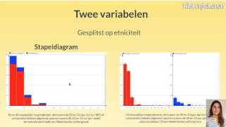 Statistiek Diagrammen kwantitatief  Wiskunjeleren [upl. by Kerril815]