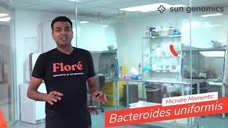 Microbe Moments Bacteroides uniformis  Sun Genomics [upl. by Nicolau266]